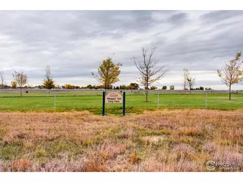 2506 Cedar Ave, Greeley, CO 80631 photo 31