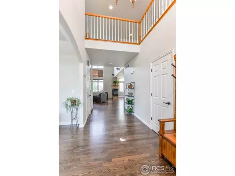 1954 Kestrel Ct, Windsor, CO 80550 photo 5
