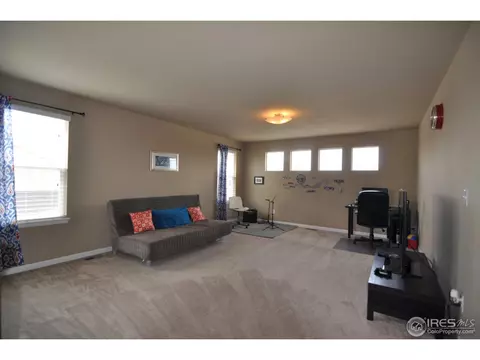 5366 Brookline Dr, Timnath, CO 80547 photo 14
