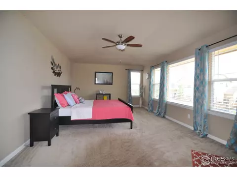 5366 Brookline Dr, Timnath, CO 80547 photo 19