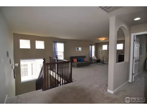 5366 Brookline Dr, Timnath, CO 80547 photo 18
