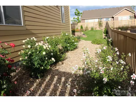 5366 Brookline Dr, Timnath, CO 80547 photo 28