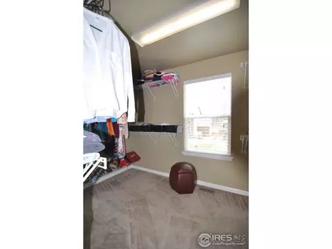 5366 Brookline Dr, Timnath, CO 80547 photo 23