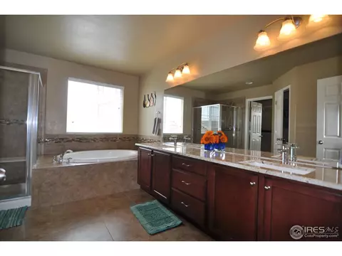 5366 Brookline Dr, Timnath, CO 80547 photo 20