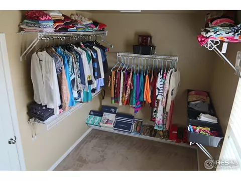 5366 Brookline Dr, Timnath, CO 80547 photo 22