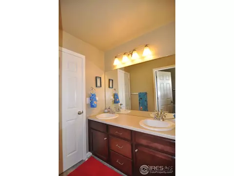 5366 Brookline Dr, Timnath, CO 80547 photo 16