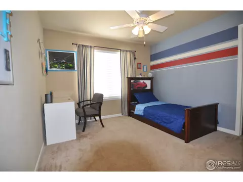 5366 Brookline Dr, Timnath, CO 80547 photo 15