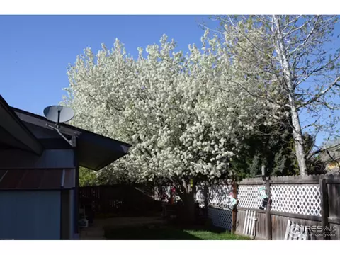 322 S 8th St, Berthoud, CO 80513 photo 18