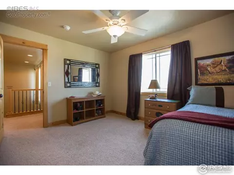 661 Babine Ct, Windsor, CO 80550 photo 13