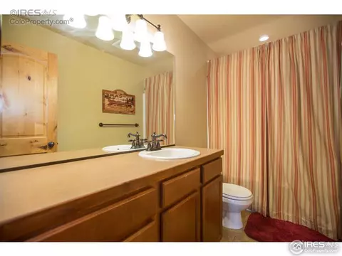 661 Babine Ct, Windsor, CO 80550 photo 19