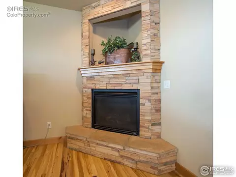 661 Babine Ct, Windsor, CO 80550 photo 9