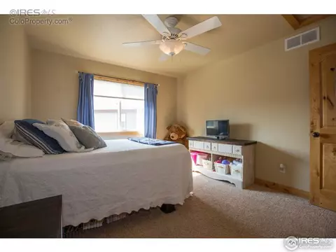 661 Babine Ct, Windsor, CO 80550 photo 14