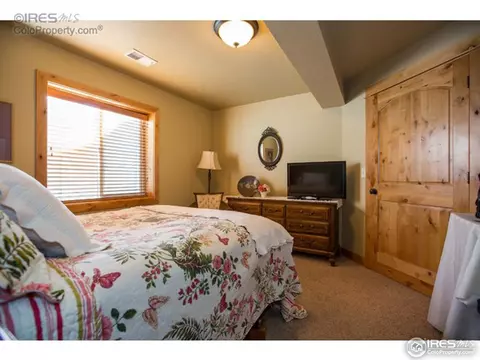 661 Babine Ct, Windsor, CO 80550 photo 15