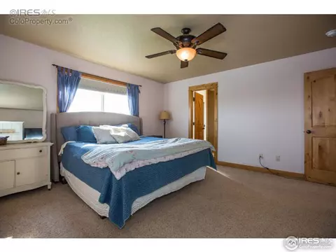 661 Babine Ct, Windsor, CO 80550 photo 10