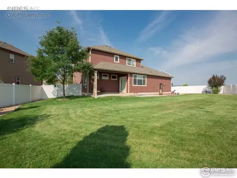 661 Babine Ct, Windsor, CO 80550 photo 25