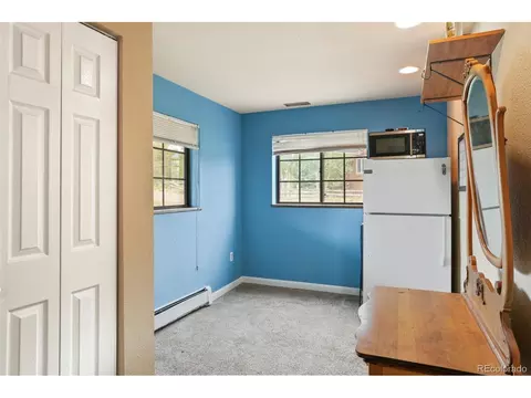 113 Cooper Dr, Dillon, CO 80435 photo 11