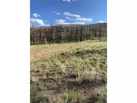 768 Shepard Pl, Fort Garland, CO 81133