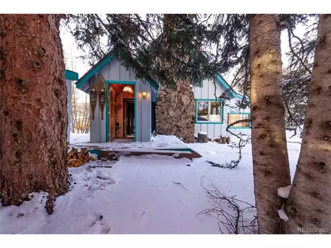 Other - 294 Vasquez Rd, Winter Park, CO 80482 photo 4 of 6