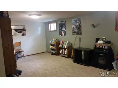 1017 Juniper Dr, Windsor, CO 80550 photo 16