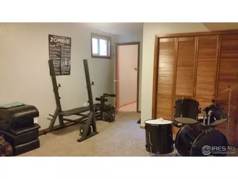 1017 Juniper Dr, Windsor, CO 80550 photo 19