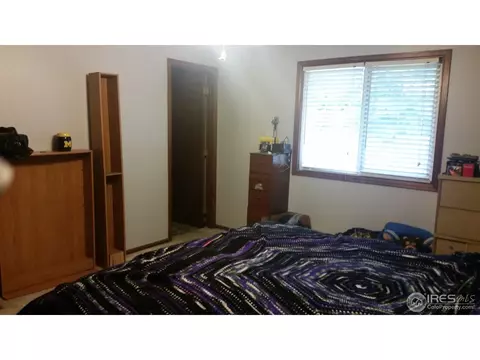 1017 Juniper Dr, Windsor, CO 80550 photo 9