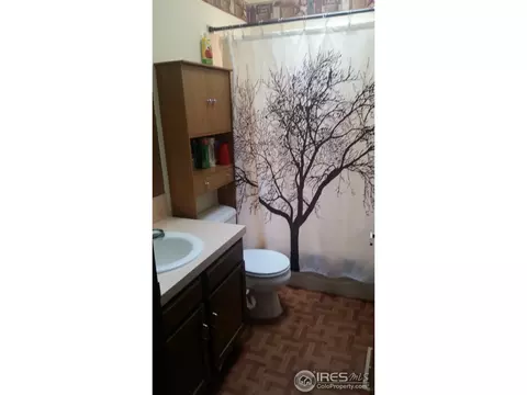 1017 Juniper Dr, Windsor, CO 80550 photo 13