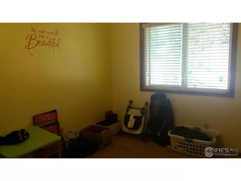 1017 Juniper Dr, Windsor, CO 80550 photo 10