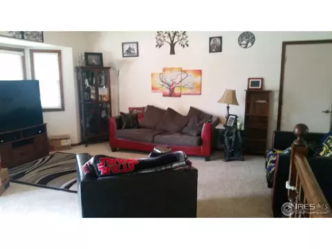 1017 Juniper Dr, Windsor, CO 80550 photo 3