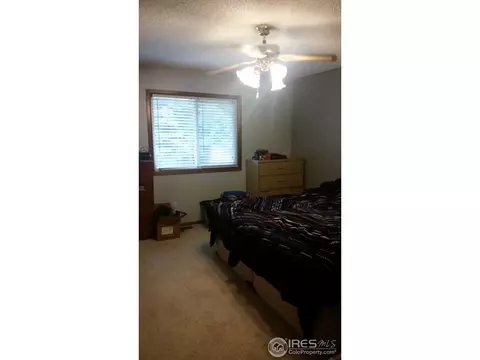 1017 Juniper Dr, Windsor, CO 80550 photo 8