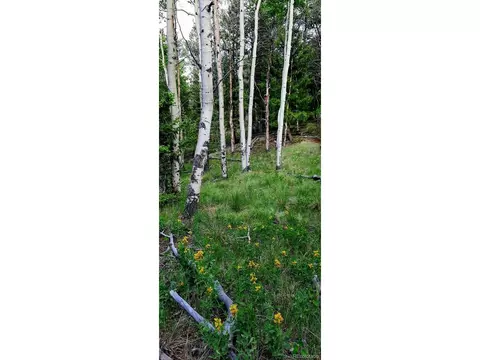 1307 Blacksmith Rd, Hartsel, CO 80449 photo 14