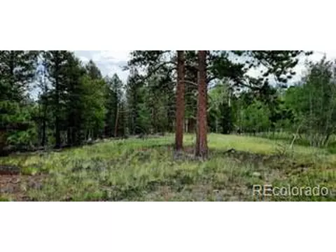 1307 Blacksmith Rd, Hartsel, CO 80449 photo 10