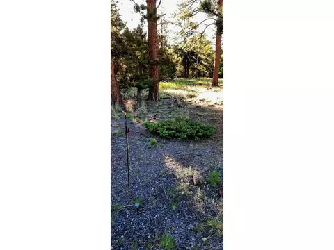 1307 Blacksmith Rd, Hartsel, CO 80449 photo 17