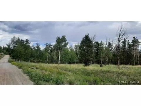 1307 Blacksmith Rd, Hartsel, CO 80449 photo 2