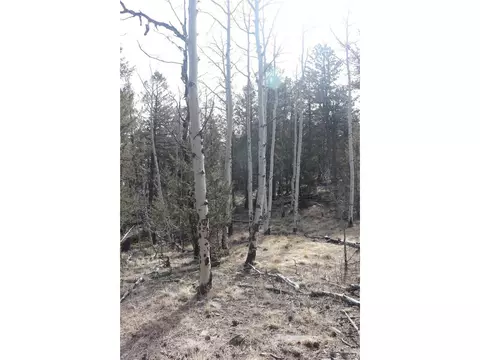 1307 Blacksmith Rd, Hartsel, CO 80449 photo 7
