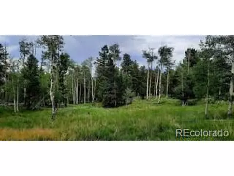 1307 Blacksmith Rd, Hartsel, CO 80449