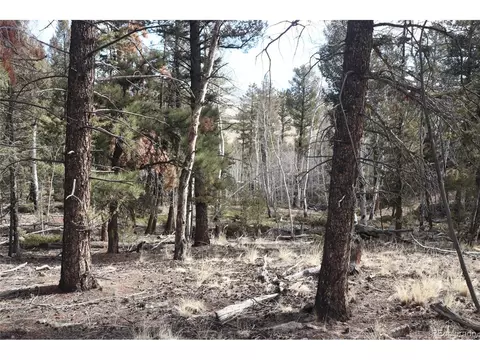 1307 Blacksmith Rd, Hartsel, CO 80449 photo 13