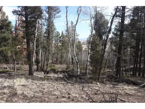 1307 Blacksmith Rd, Hartsel, CO 80449 photo 5