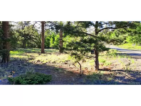 1307 Blacksmith Rd, Hartsel, CO 80449 photo 16