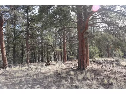 1307 Blacksmith Rd, Hartsel, CO 80449 photo 11