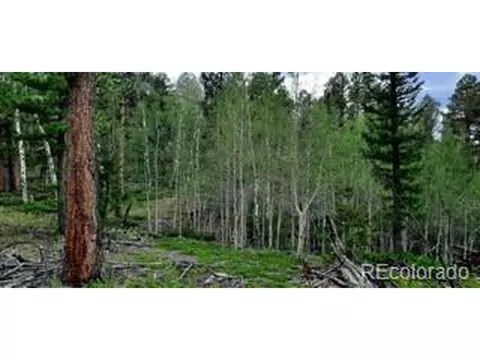 1307 Blacksmith Rd, Hartsel, CO 80449 photo 3