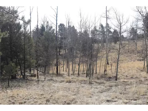 1307 Blacksmith Rd, Hartsel, CO 80449 photo 9
