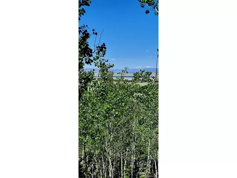 1307 Blacksmith Rd, Hartsel, CO 80449 photo 15