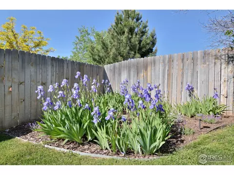 3433 Santa Fe Ave, Evans, CO 80620 photo 35