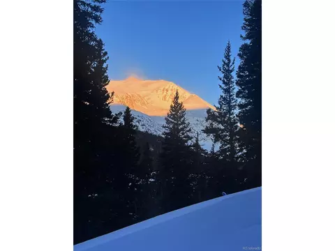 249 Goldfinch Pl, Alma, CO 80420