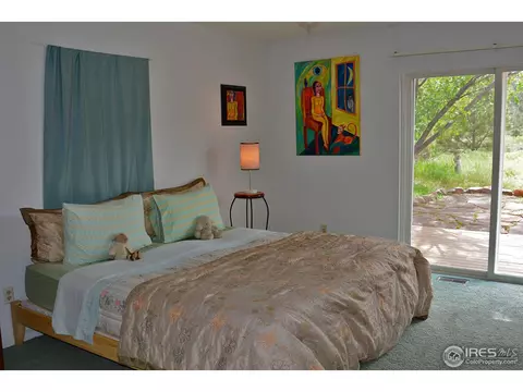 815 5th Ave, Lyons, CO 80540 photo 11