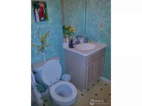 815 5th Ave, Lyons, CO 80540 photo 17