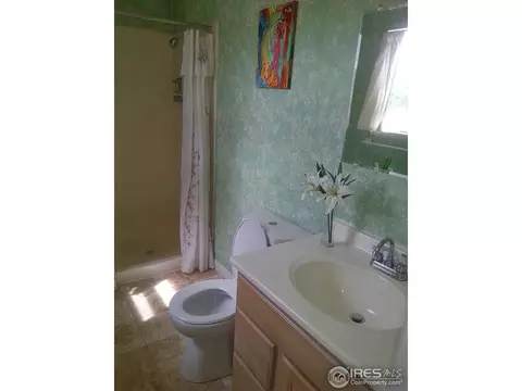 815 5th Ave, Lyons, CO 80540 photo 15