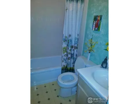 815 5th Ave, Lyons, CO 80540 photo 16
