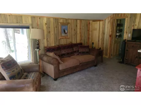 259 Riverside Dr, Lyons, CO 80540 photo 23