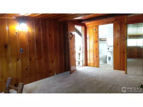 446 Riverside Dr, Lyons, CO 80540 photo 10